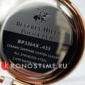 Часы Beverly Hills Polo Club BP3364X.433 фото 5