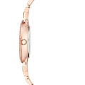 Часы Anne Klein Crystal  2928TPRG фото 2