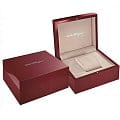 Salvatore Ferragamo Salvatore Ferragamo SFDE00118 мужские часы серебристый циферблат на запястье