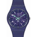 Swatch Swatch Gent Biosourced Standard SO28V102  SO28V102 кварцевые мужские часы прозрачный циферблат, браслет силикон — вид спереди