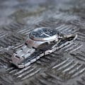 Часы Swiss Military by Chrono SM34076.03 фото 4