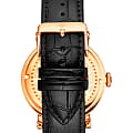 Stuhrling Stuhrling Majestic 1015.04  наручные мужские часы фото под углом.