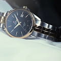 Swiss Military by Chrono Swiss Military by Chrono SMA34085.10  швейцарские мужские часы на браслете нержавеющая сталь с pvd-покрытием боковой вид